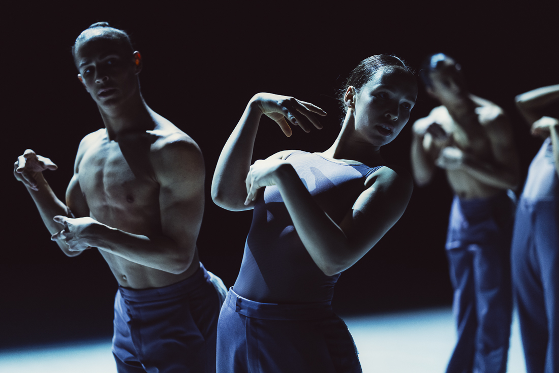 WIR SAGEN UNS DUNKLES ©Rahi Rezvani 2025 Online 2