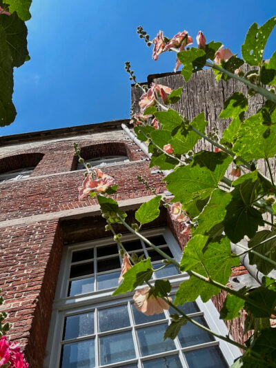 WhatsApp Image 2025 06 27 At 16.25.54 2